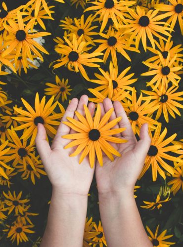 Close-up of hands holding vibrant yellow daisies, showcasing natural beauty and floral pattern.